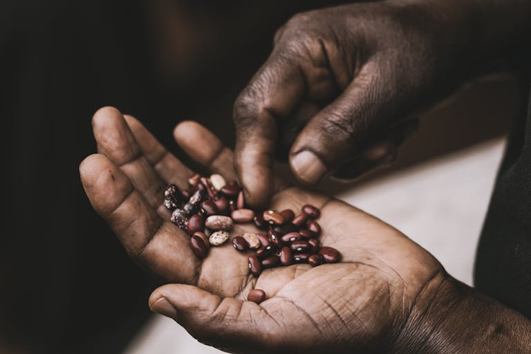 Our Products 1 A detailed close-up of hands holding a variety of colorful beans, highlighting texture and diversity.