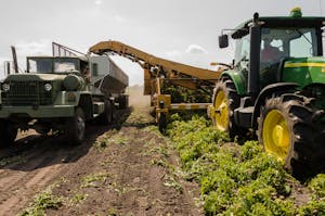 Home 8 A tractor and truck collaborate in harvesting crops on a sunny farm field.
