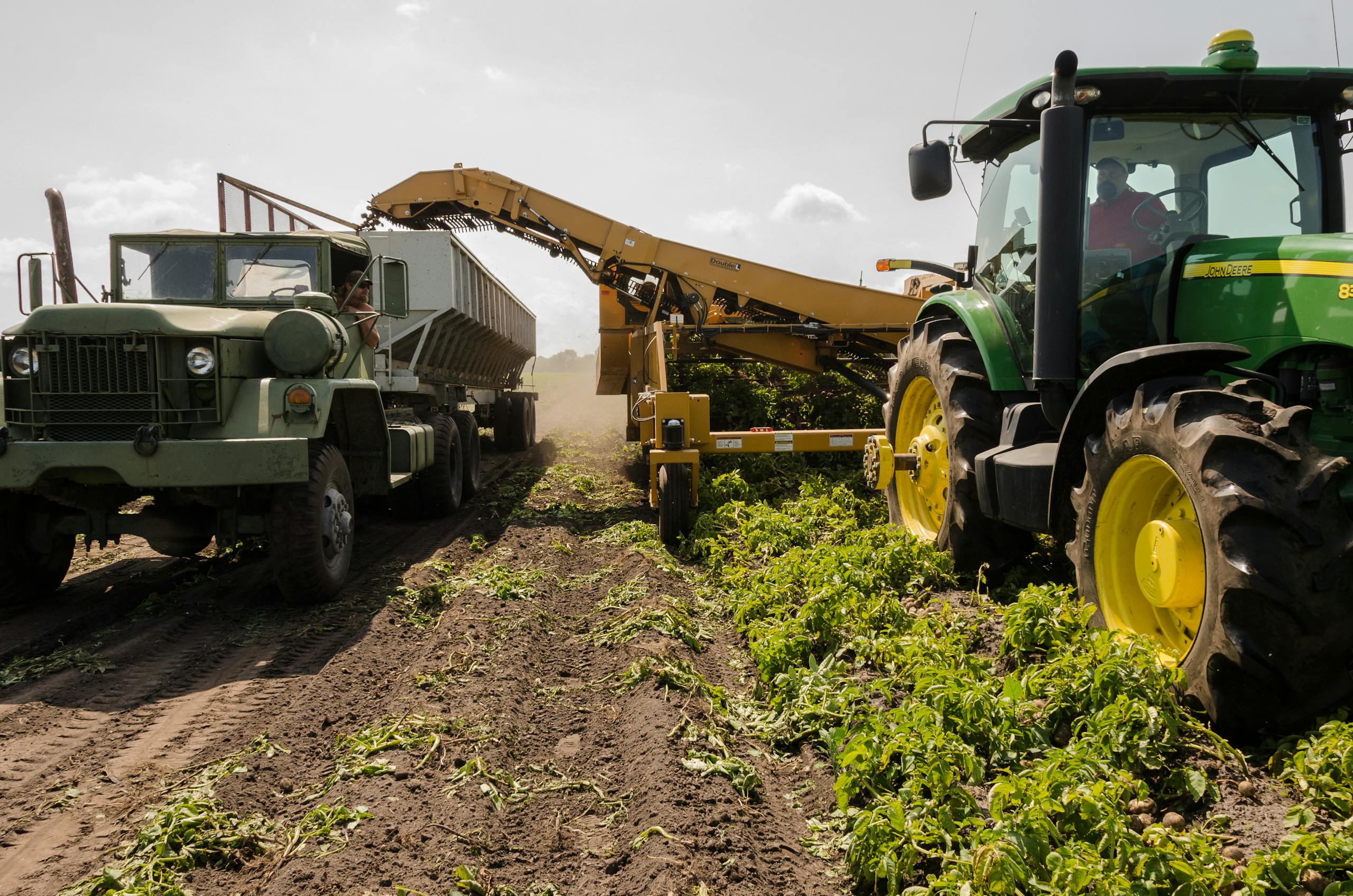 Logistics & Supply 1 A tractor and truck collaborate in harvesting crops on a sunny farm field.