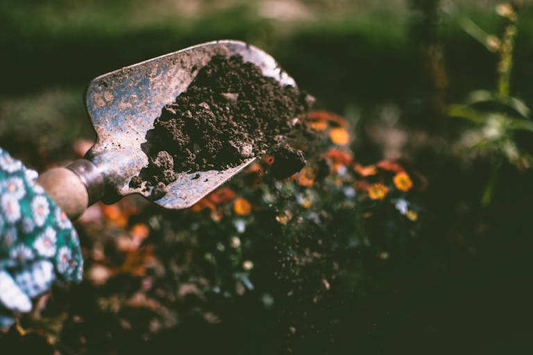 Our Products 2 Close-up of a gardening shovel with soil, surrounded by vibrant blooms in an outdoor garden setting.